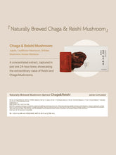 Naturally Brewed Mushroom Extract Chaga&Reishi